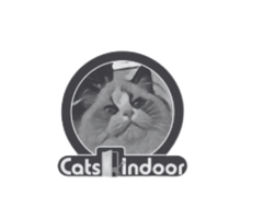 Cats Indoor